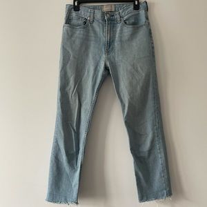 Everlane Cheeky Raw Hem Jean 25R